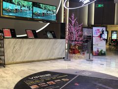 -SFC上影影城(港汇永华IMAX激光店)