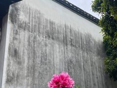 -何园