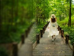 -桤木河湿地公园