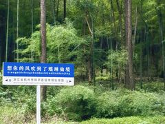 -瑶琳仙境