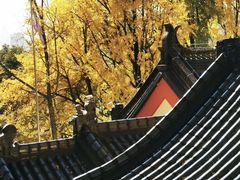 -九华山公园