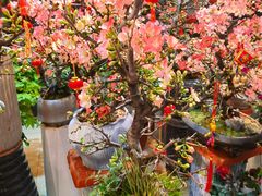 -双季花艺园艺市场(浦东店)