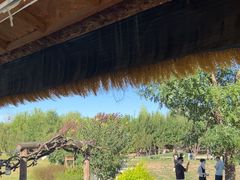 -爪吧宠物乐园 (温榆河示范区店)