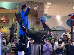 -兰岛广场(白沙路店)