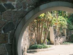 -深圳仙湖植物园