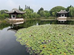-无锡蠡湖国家湿地公园-蠡园