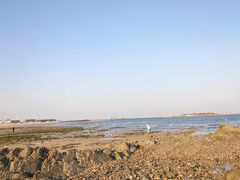 -刘家湾赶海园
