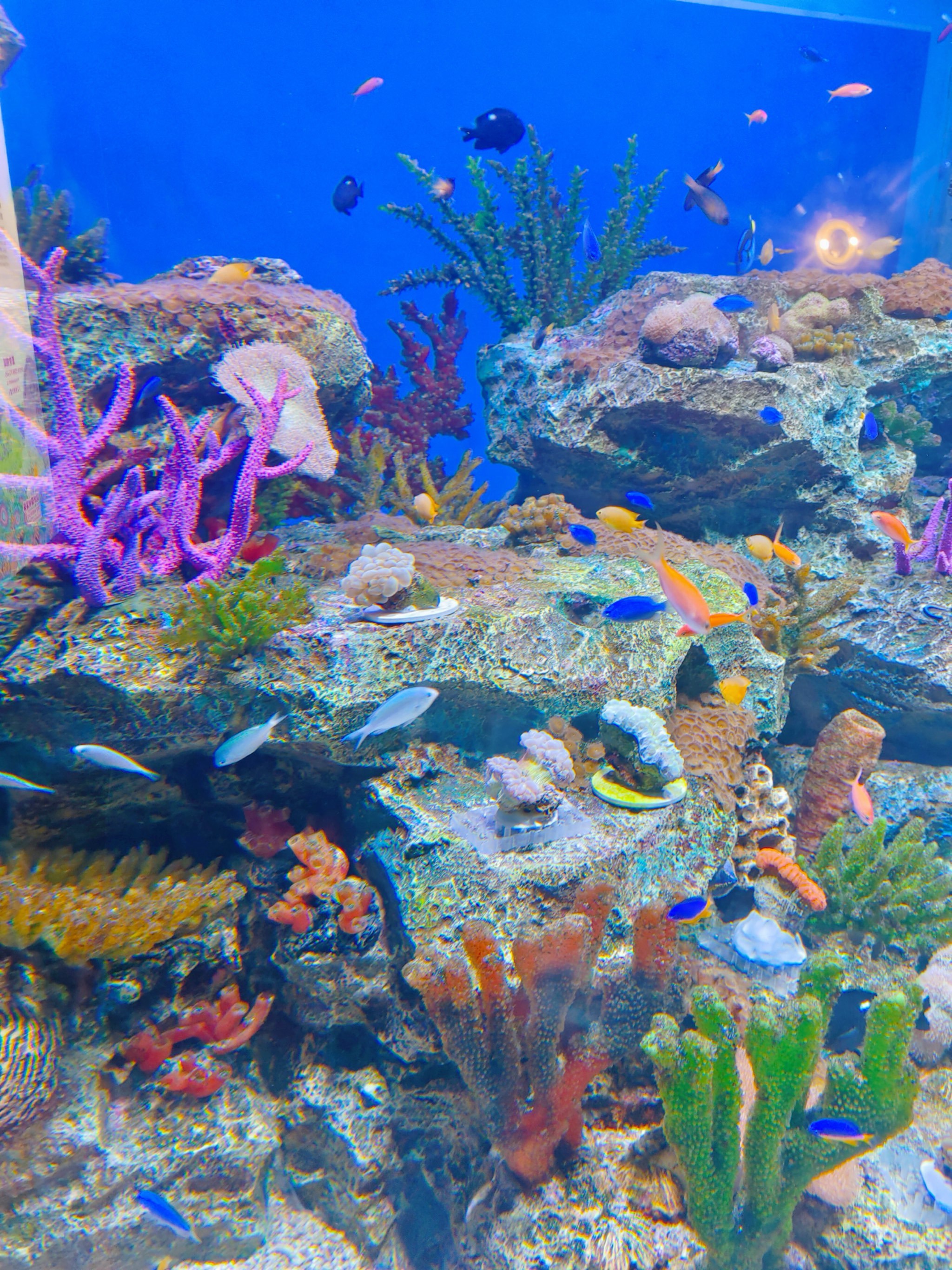 五一打卡郑州海昌海洋公园游玩攻略​