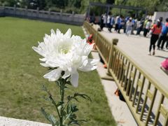 -北京西山国家森林公园