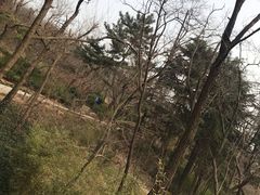 -贮水山儿童公园
