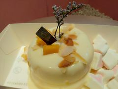 -狐狸和向日葵(北京路店)