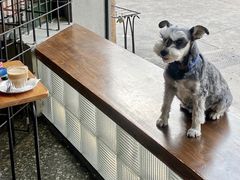 -BE NORMAL CAFE(霞溪路店)