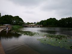 -新江湾城公园