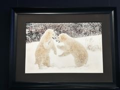 -罗红摄影艺术馆