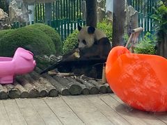 -大连森林动物园