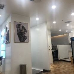 -YESIDO椰岛造型