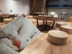 -瞄一喵猫咖(格力海岸店)