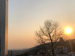 -茶颜悦色(岳麓山顶店)