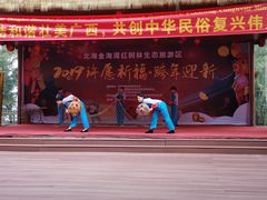 -北海金海湾红树林生态旅游区