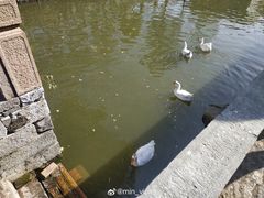 -苏州文庙(姑苏区)