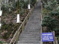 -云碧峰国家森林公园