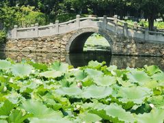 -无锡蠡湖国家湿地公园-蠡园