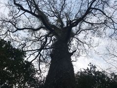 -云中菜馆(恒晟·云中绿园店)