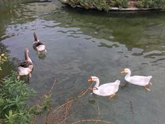 -河北霸州茗汤日月潭温泉
