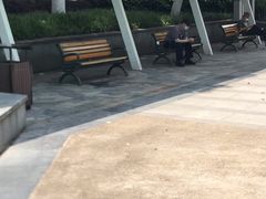 -后襄河公园