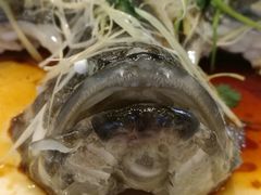 -仑头海鲜城(仑头环村南路店)