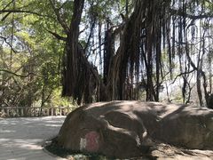 -乌山风景区