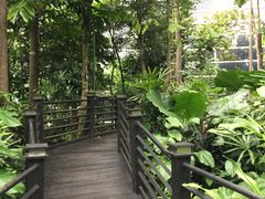 BOARD WALK-吉隆坡国际机场