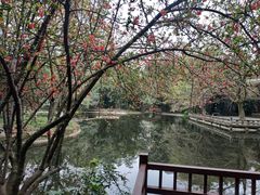 景点-望江楼公园