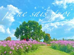 -花开海上生态园