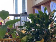 -天山传奇新疆菜(SKLP店)