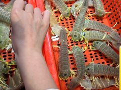 -79号渔船海鲜饭店(龙岗店)