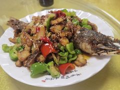 -煲来饱去冷水鱼