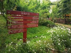 -鹅湖玫瑰文化园
