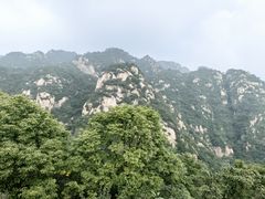 -大岭沟猕猴桃谷风景区