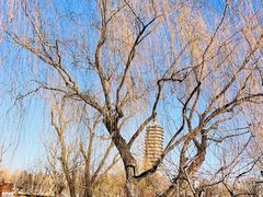 -西海子公园