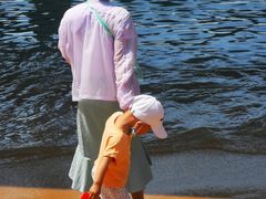 -演武大桥观景平台