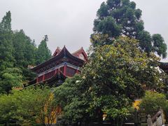 -东天目山风景区