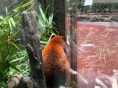 -石排湾郊野公园