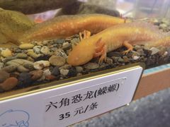 -姑苏二十四集(iD PARK 歌林公园店)