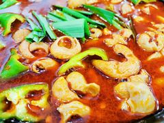 湘味肥肠火锅-湘肠香火锅店(团结湖店)
