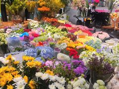-双季花艺园艺市场(浦东店)