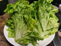 -33韩式自助烧烤(环城南路店)
