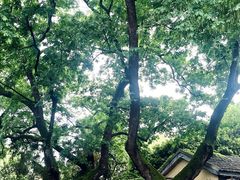 -颐和路民国时期公馆风貌区