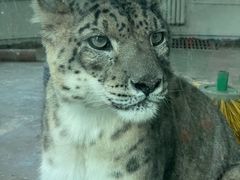 -青藏高原野生动物园