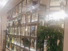 -宝燕壹号(徐汇店)